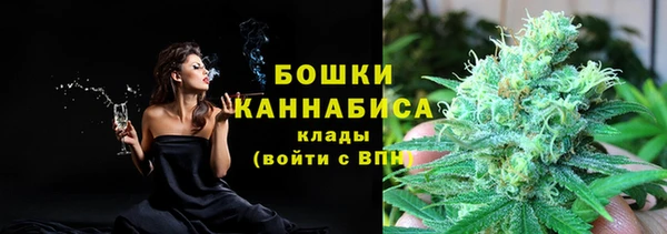 амф Бронницы