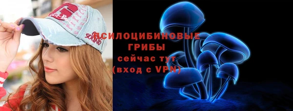 амф Бронницы