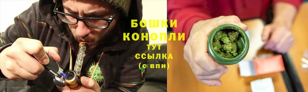 амф Бронницы