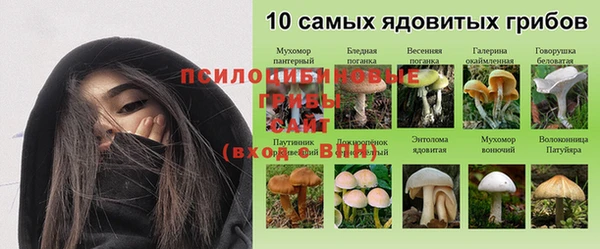 амф Бронницы